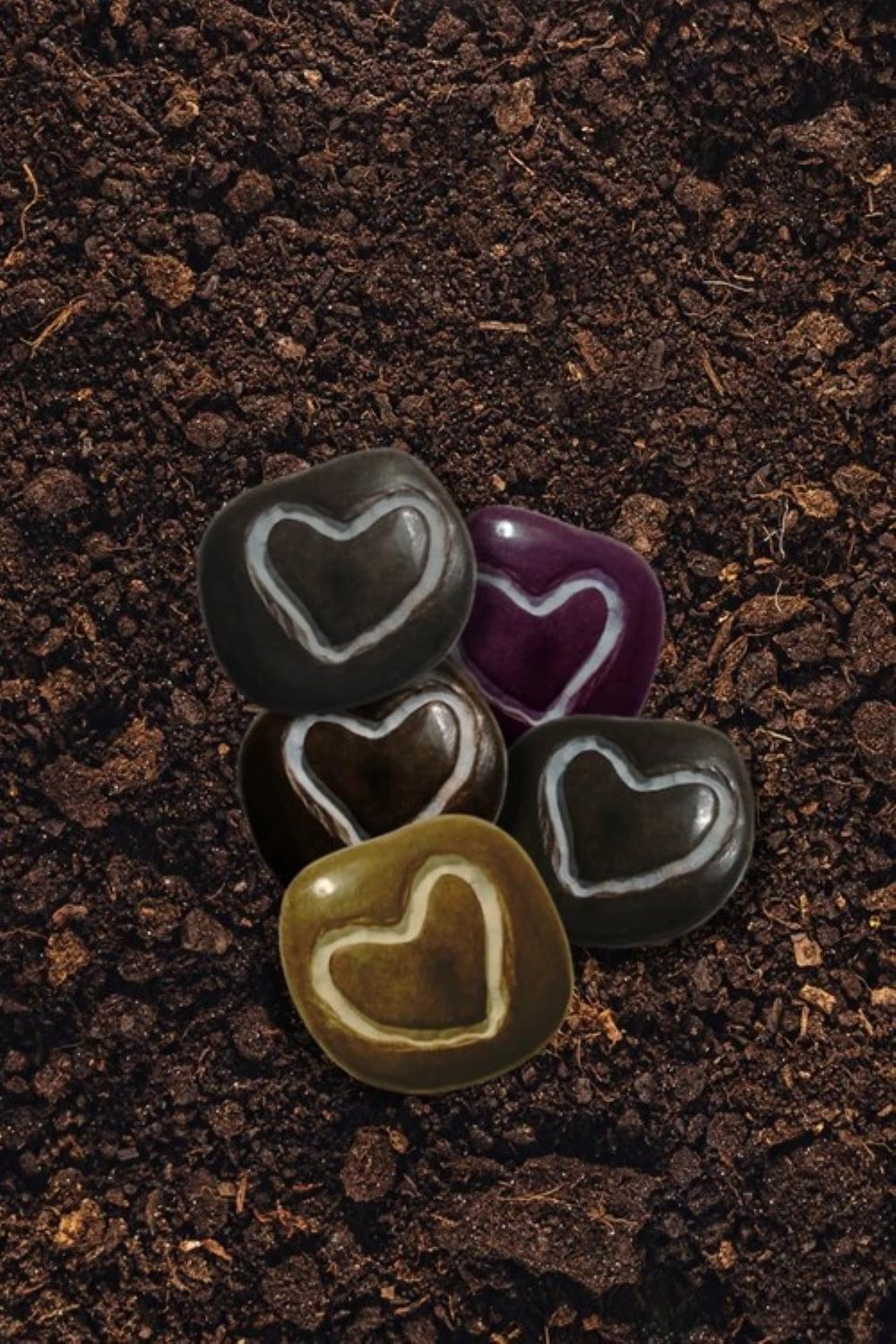 Inspirational Garden Stones