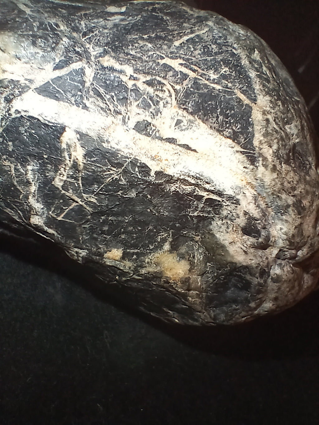 Unique Stone Specimen's