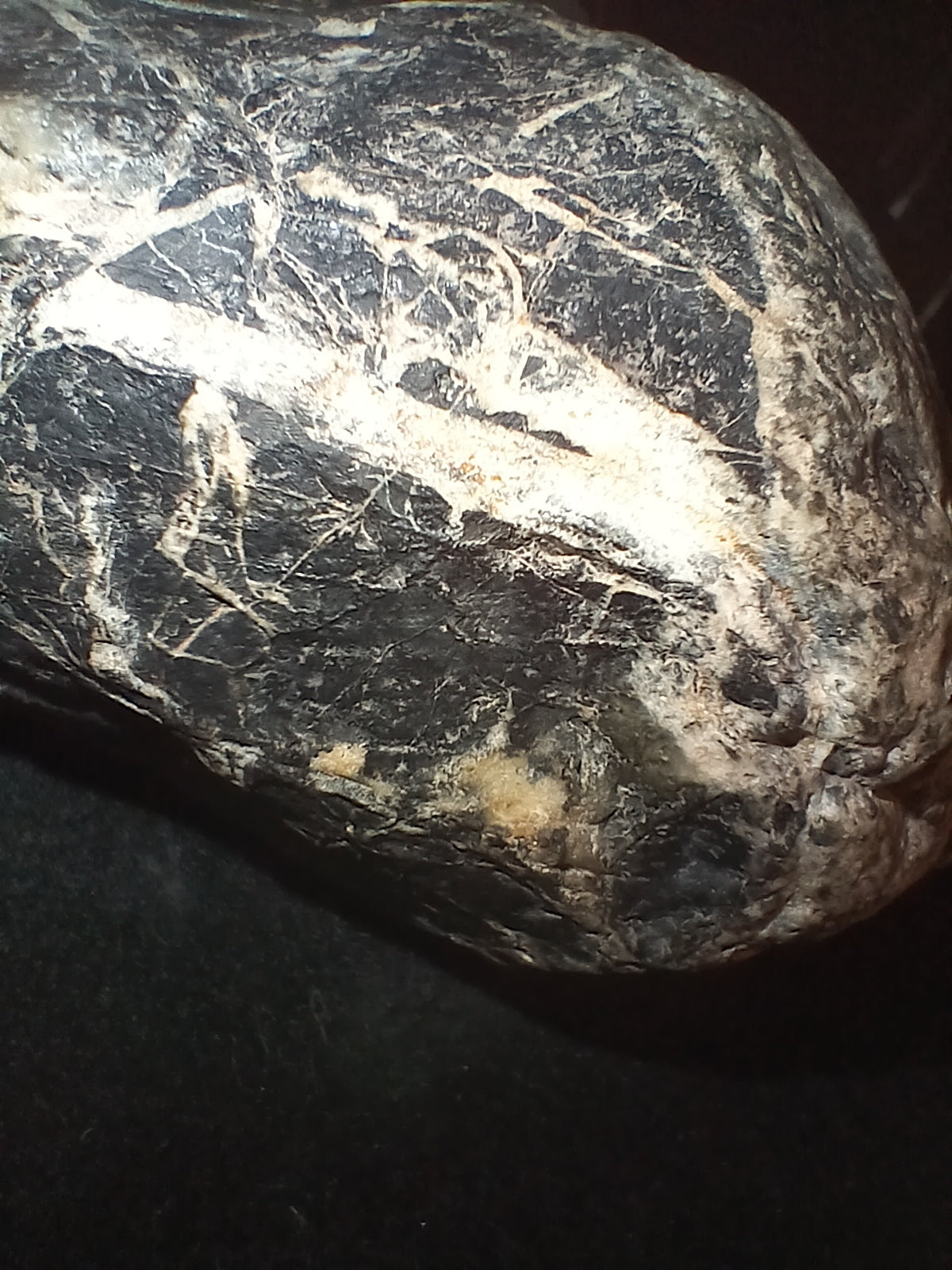 Unique Stone Specimen's