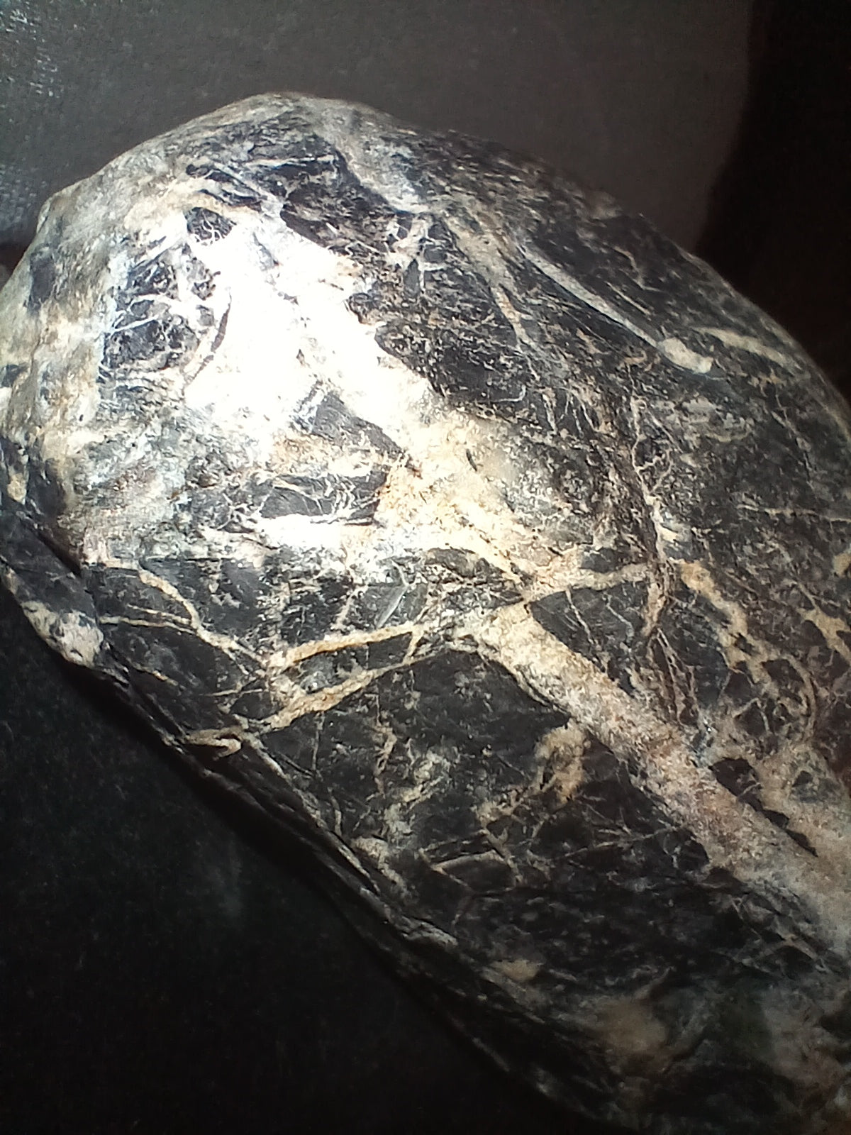 Unique Stone Specimen's